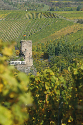 Dorsheim Burgberg GG