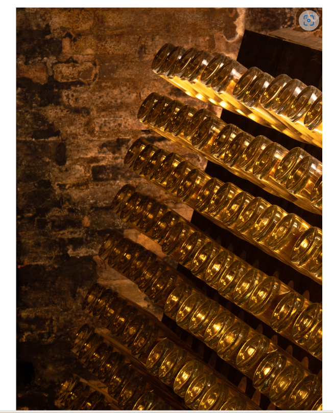 Champagne Collection "243"